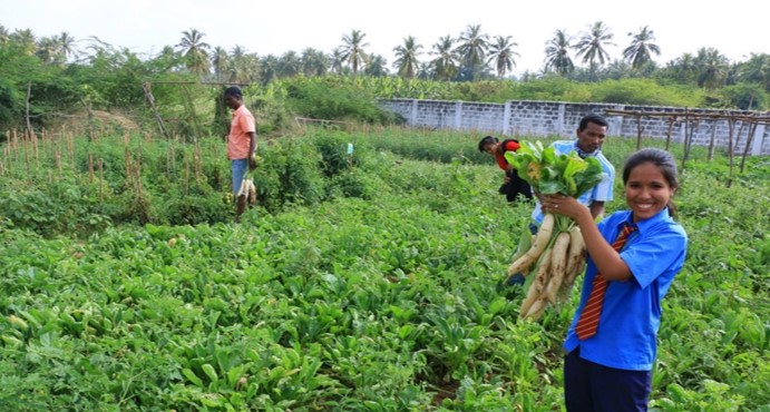 MJC Farm